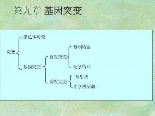 基因突变