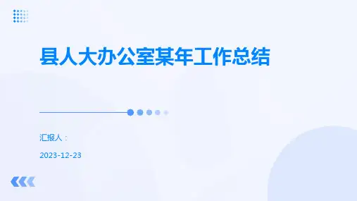 县人大办公室某年工作总结