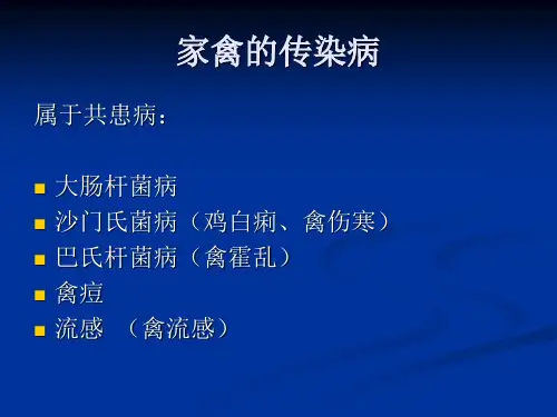 家禽的传染病PPT课件