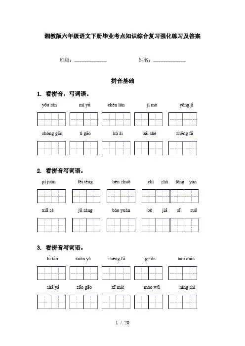 湘教版六年级语文下册毕业考点知识综合复习强化练习及答案