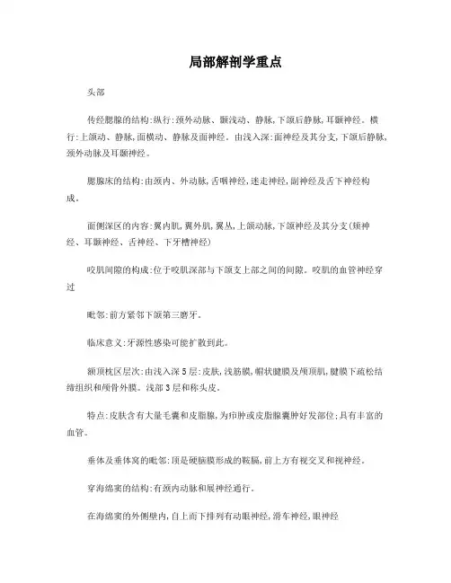 局部解剖学重点