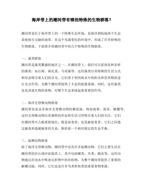 海岸带上的潮间带有哪些特殊的生物群落？