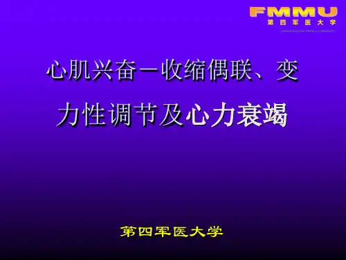 兴奋收缩耦联、心肌变力性调节及心衰
