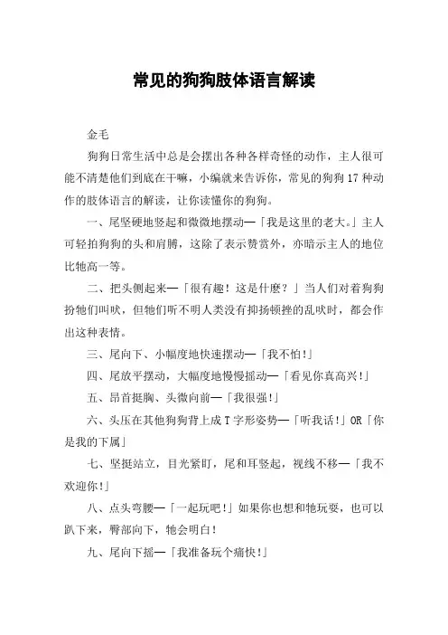常见的狗狗肢体语言解读