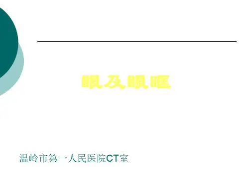 眼及眼眶疾病影像诊断 (1)