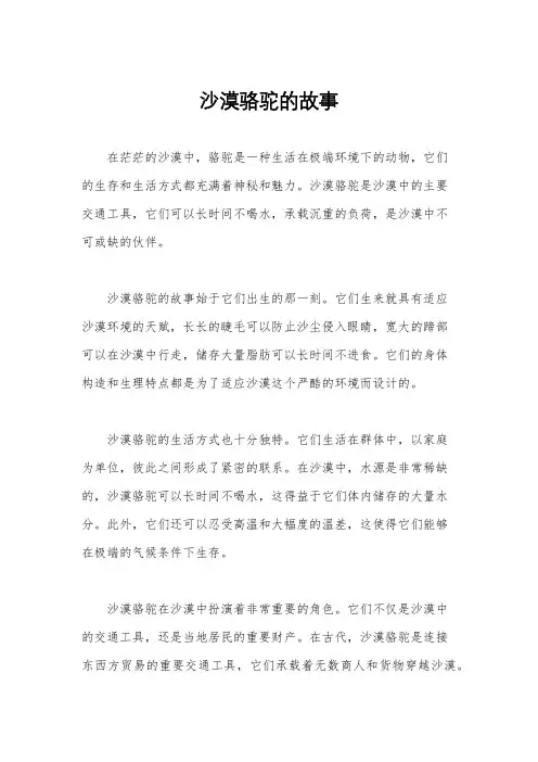 沙漠骆驼的故事