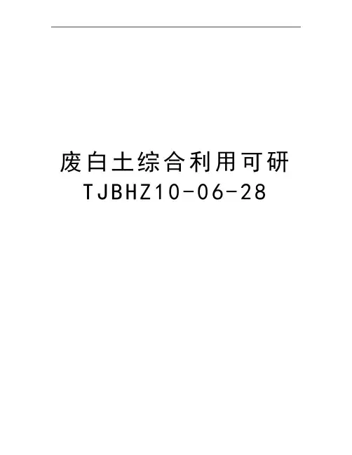 最新废白土综合利用可研TJBHZ10-06-28