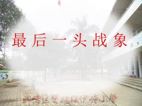 人教版小学语文六年级上册《最后一头战象》PPT课件