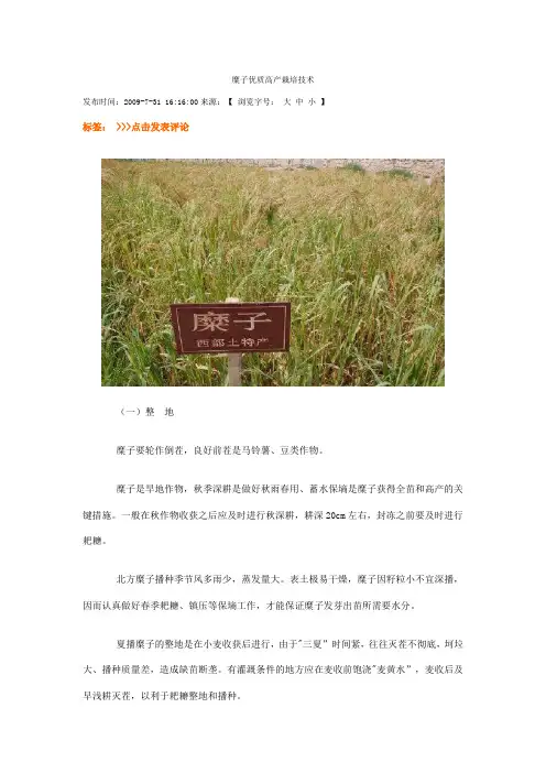 糜子优质高产栽培技术