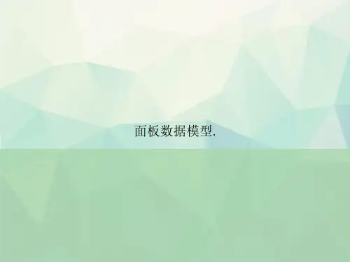 面板数据模型.讲课文档
