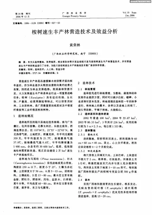 桉树速生丰产林营造技术及效益分析