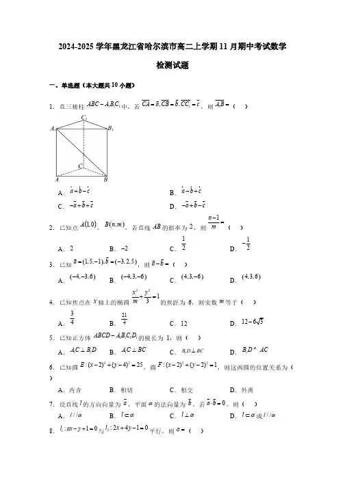 2024-2025学年黑龙江省哈尔滨市高二上学期11月期中考试数学检测试题(含解析)