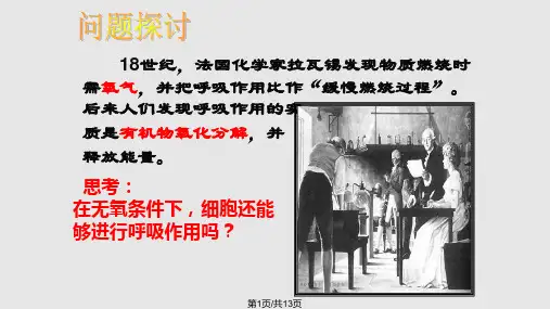 探究酵母菌细胞呼吸的方式公开课PPT课件