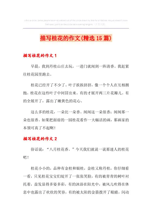 描写桂花的作文(精选15篇)