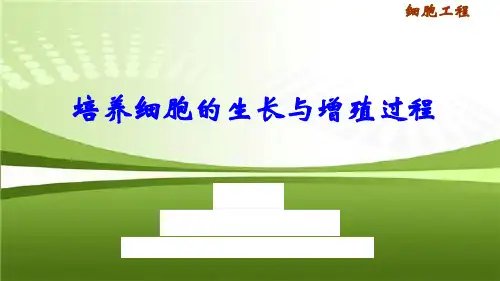 2.2 培养细胞的生长与增殖过程