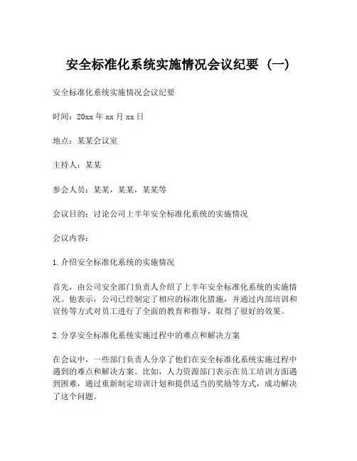 安全标准化系统实施情况会议纪要 (一)