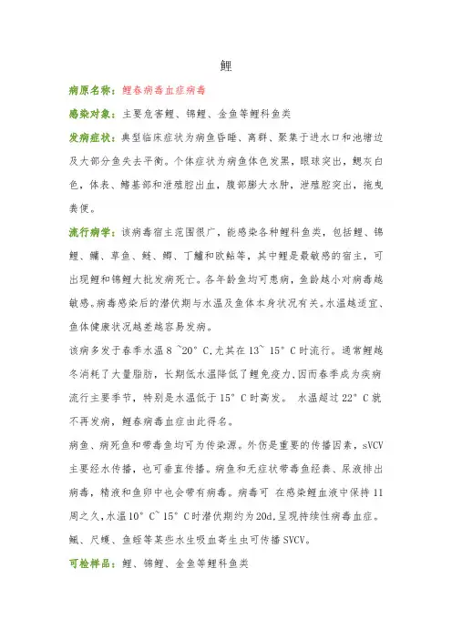 鲤春病毒血症病毒(SVCV)