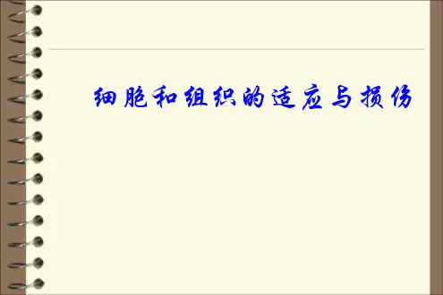 病理学：细胞和组织的适应与损伤