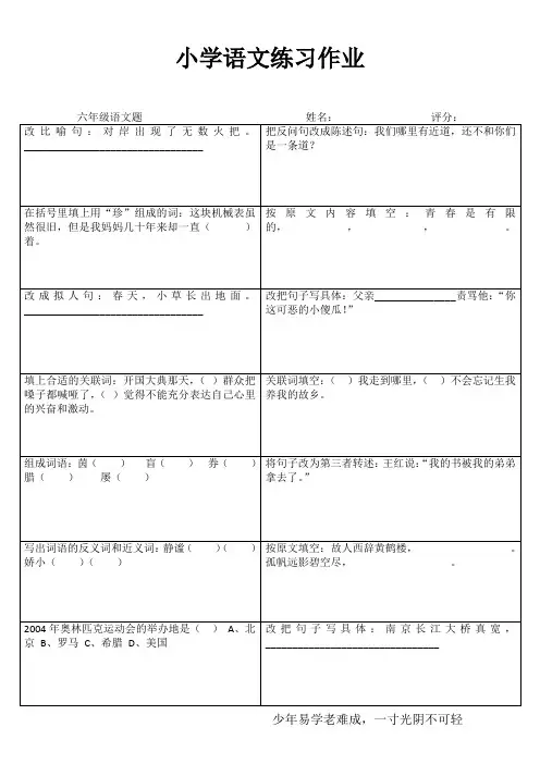 小学六年级语文拓展训练 (2)