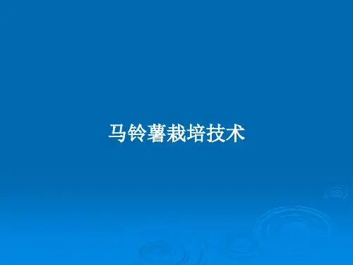 马铃薯栽培技术PPT学习教案