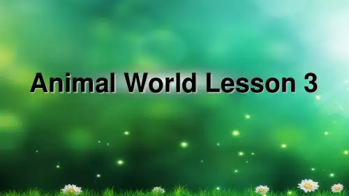 六年级英语上册Unit 3Animal world Lesson 3_1-人教版新起点