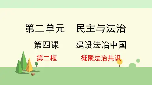 道德与法治 九年级上册   凝聚法治共识