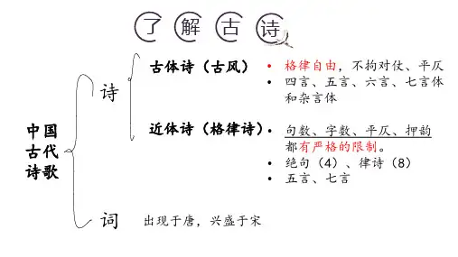 统编版语文八年级上册第26课《诗词五首》之《饮酒(其五)》《春望》课件