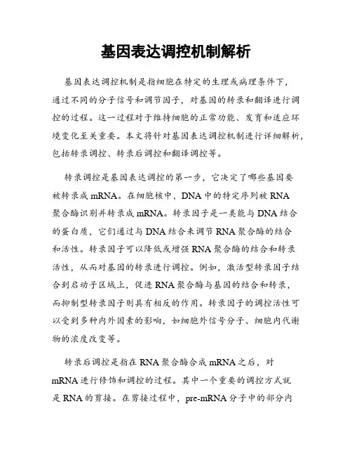 基因表达调控机制解析