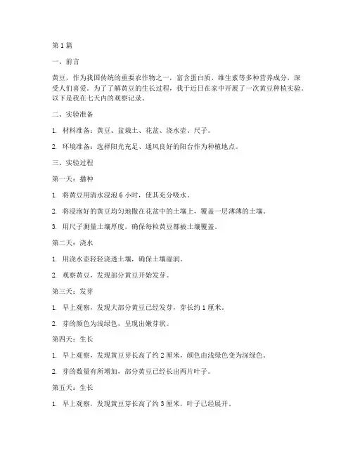 种黄豆七天观察记录(2篇)