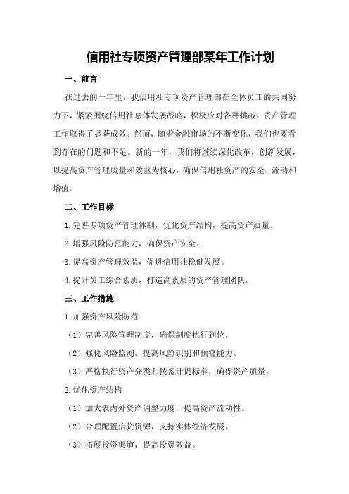 信用社专项资产管理部某年工作计划