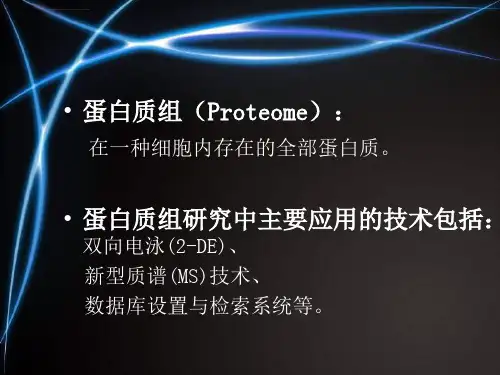 蛋白质组双向电泳原理及实验步骤ppt课件.ppt