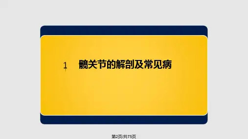 髋膝关节解剖.pptx