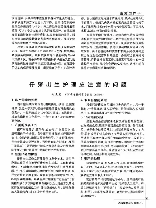 仔猪出生护理应注意的问题