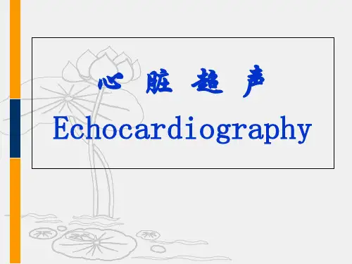心脏超声诊断