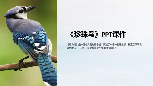 《珍珠鸟》课件