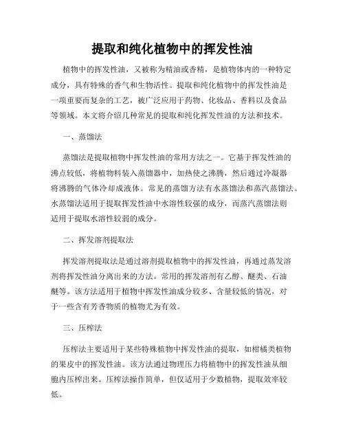 提取和纯化植物中的挥发性油
