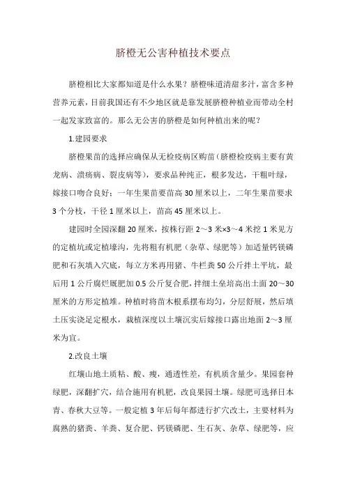 脐橙无公害种植技术要点
