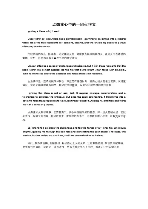 点燃我心中的一团火作文