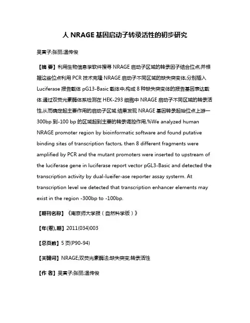 人NRAGE基因启动子转录活性的初步研究