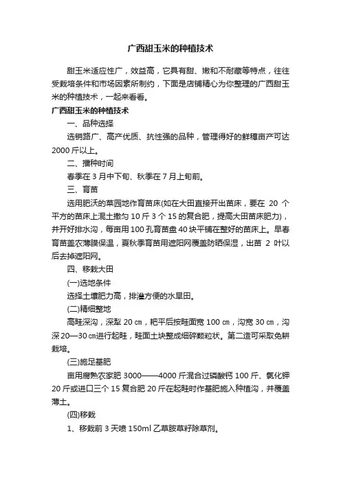 广西甜玉米的种植技术