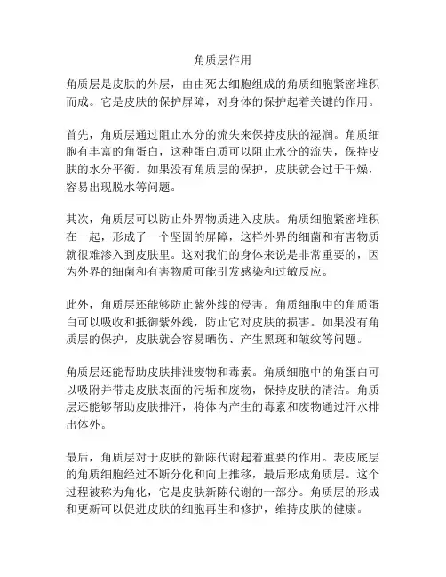 角质层作用