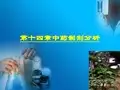 药物分析14第十四章 中药制剂分析