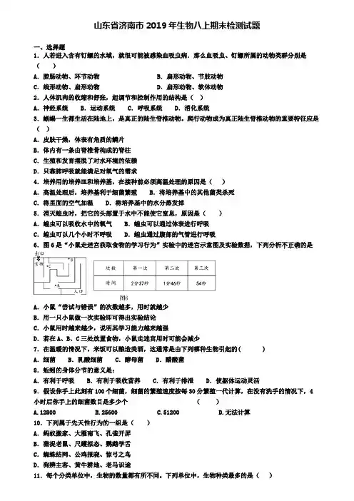 山东省济南市2019年生物八上期末检测试题