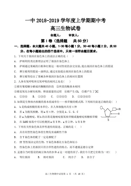 一中2018-2019学年度高三上学期期中生物试卷
