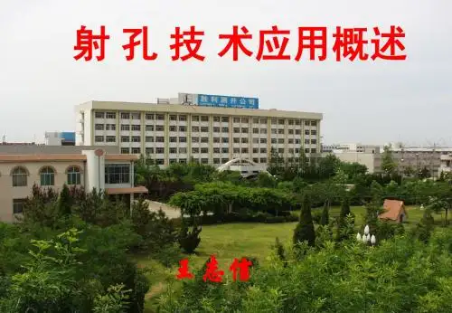 王总射孔技术概述