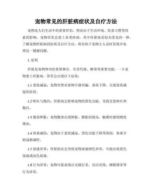 宠物常见的肝脏病症状及自疗方法