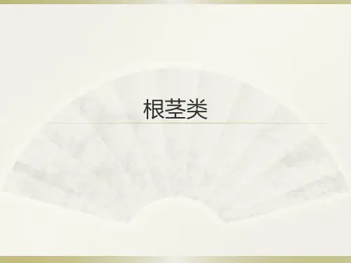 根茎类