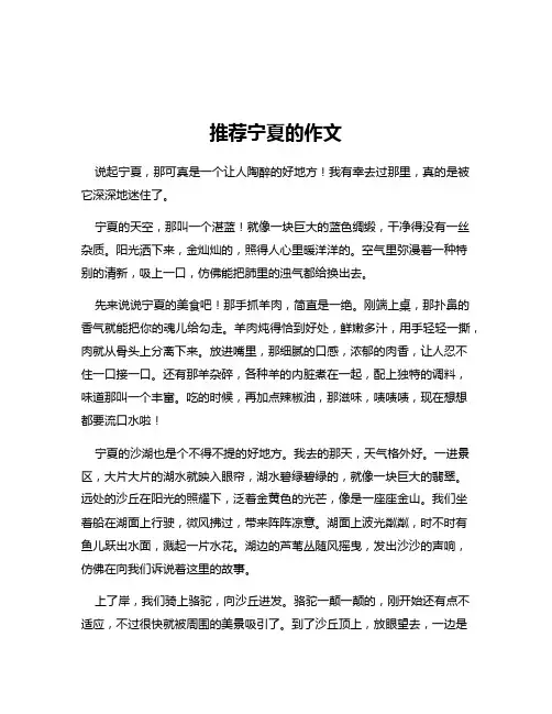 推荐宁夏的作文