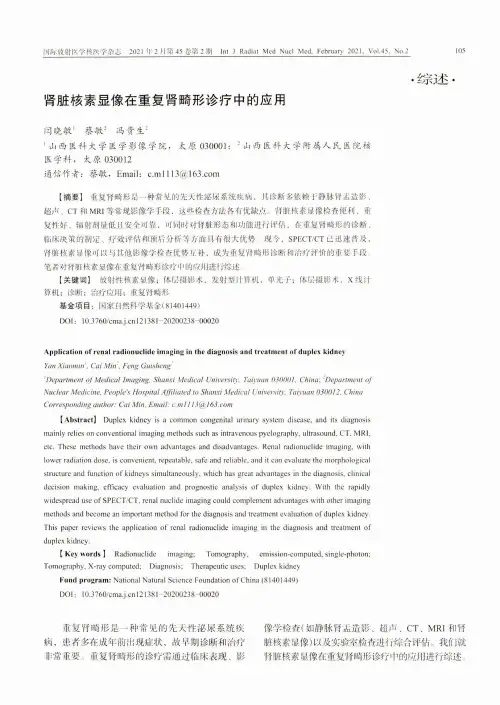 肾脏核素显像在重复肾畸形诊疗中的应用