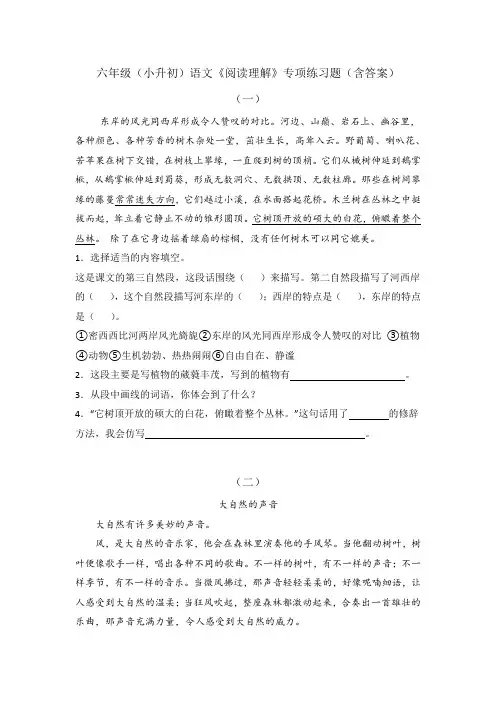 六年级(小升初)语文《阅读理解》专项练习题(含答案)2